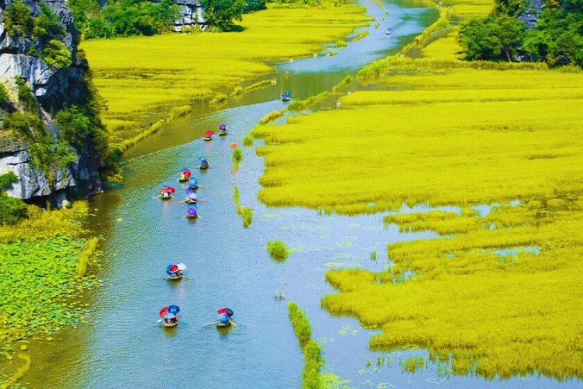 Image gallery